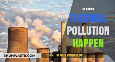 Thermal Pollution: Understanding Heat's Impact on Nature