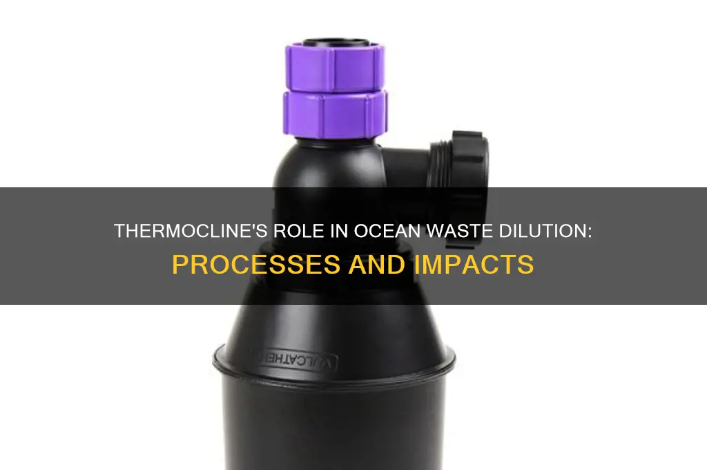 how does thermocline affect dilution of waste in the ocean