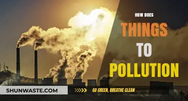 Pollution's Impact: How Everything is Connected