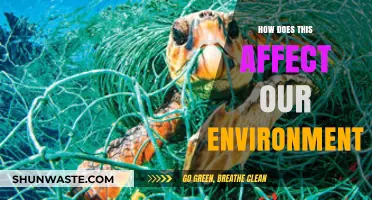 How Human Actions Impact Our Environment: A Comprehensive Analysis