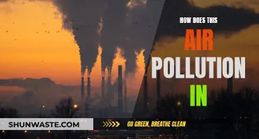 Air Pollution's Impact: A Health Hazard