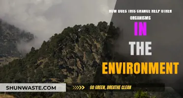 Environmental Shifts: How Ecosystem Changes Benefit Diverse Organisms
