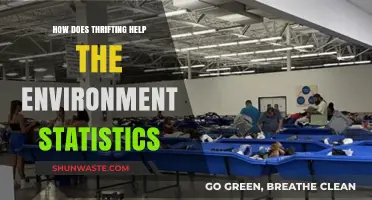 Thrifting's Eco-Impact: Surprising Stats on Sustainable Shopping Benefits