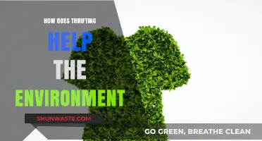 Thrifting for a Greener Future: Eco-Friendly Benefits of Second-Hand Shopping