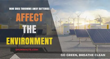 The Environmental Impact of Discarding Batteries: A Hidden Hazard
