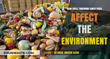Food Waste's Hidden Cost: Environmental Impact and Sustainable Solutions