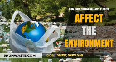 Plastic Waste Crisis: Environmental Impact of Discarding Plastics Explained