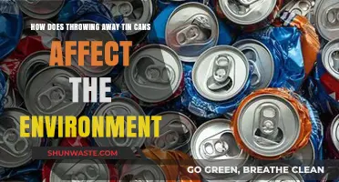Tossing Tin Cans: Unseen Environmental Impacts and Sustainable Alternatives