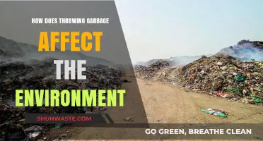 The Devastating Impact of Improper Garbage Disposal on Our Environment