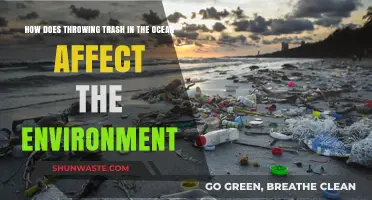 Ocean Trash Crisis: Devastating Environmental Impacts of Marine Pollution