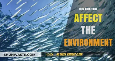 Tidal Energy's Environmental Impact: Benefits, Challenges, and Ecosystem Effects