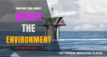 Tidal Energy's Environmental Impact: Benefits, Challenges, and Sustainability Insights