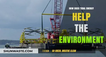 Harnessing Tidal Energy: Eco-Friendly Power for a Sustainable Future