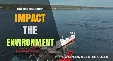 Tidal Energy's Environmental Impact: Benefits, Challenges, and Sustainability
