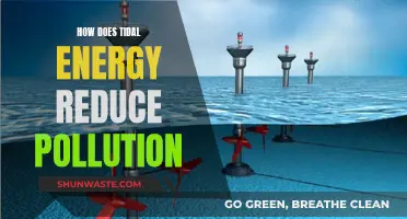 Tidal Energy: Pollution Solution with Ocean Power