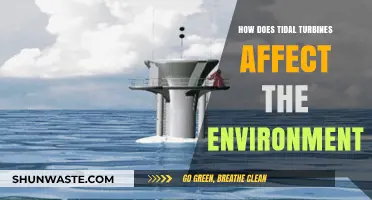 Tidal Turbines: Environmental Impact and Sustainable Energy Considerations