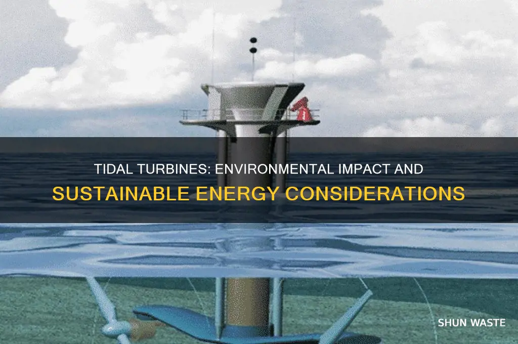 how does tidal turbines affect the environment