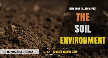 Tillage Impacts: Understanding Soil Structure, Health, and Ecosystem Changes