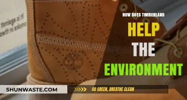 Timberland's Eco-Friendly Initiatives: Protecting Nature, One Step at a Time