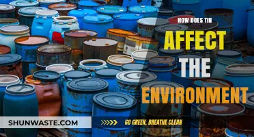 Tin's Environmental Impact: Effects on Ecosystems, Wildlife, and Sustainability