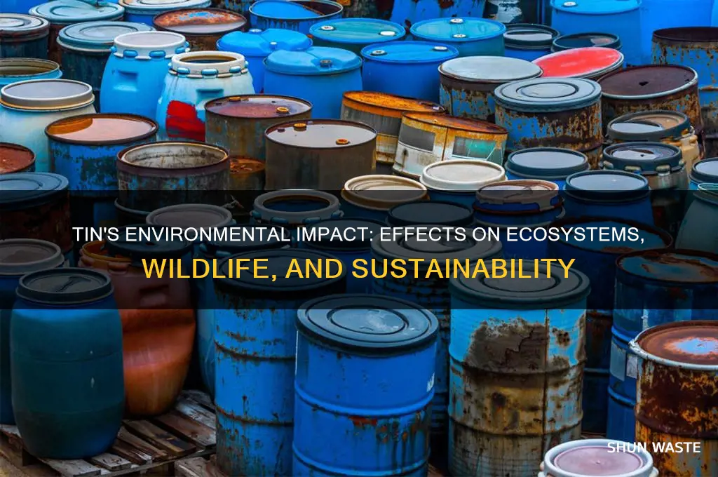 how does tin affect the environment