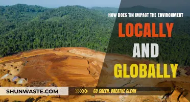 Tin's Environmental Footprint: Local and Global Impacts Explored
