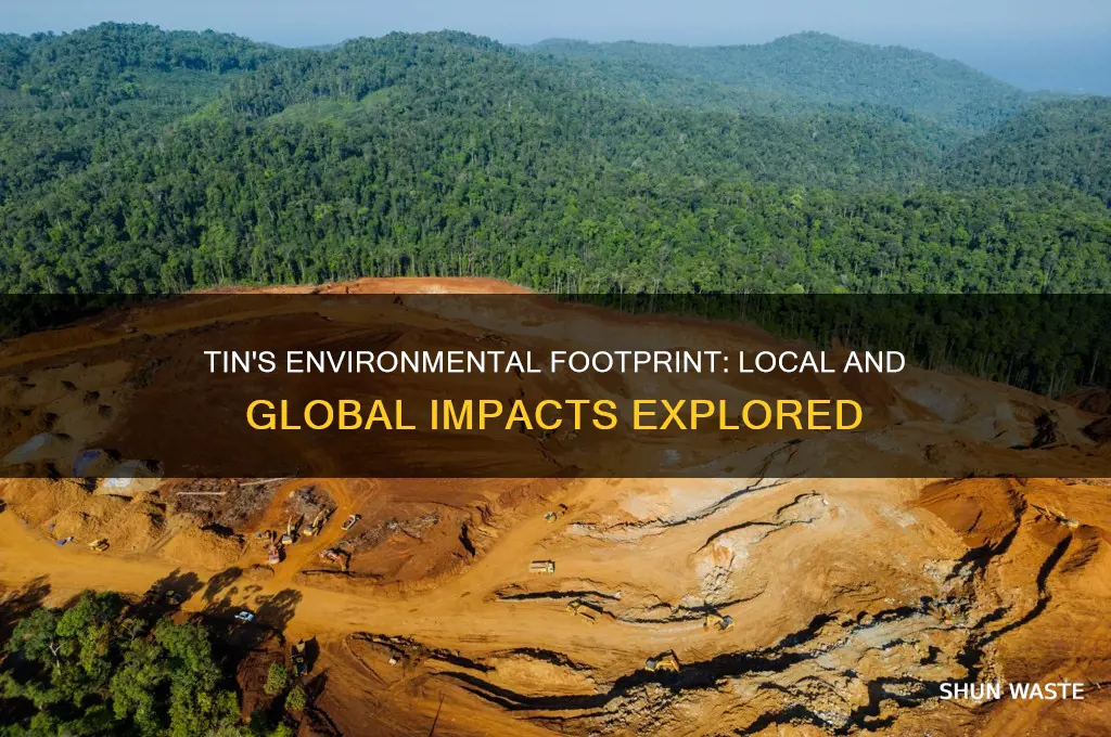how does tin impact the environment locally and globally