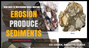 Weathering, Mass Wasting, and Erosion: The Sediment Formation Process
