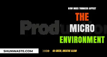 Tobacco's Impact on Micro Environments: Uncovering Hidden Consequences