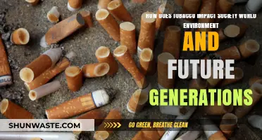Tobacco's Devastating Impact: Society, Environment, and Future Generations at Risk