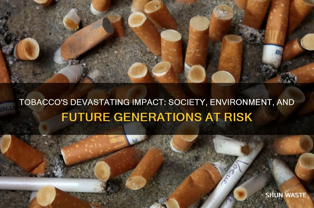 how does tobacco impact society world environment and future generations