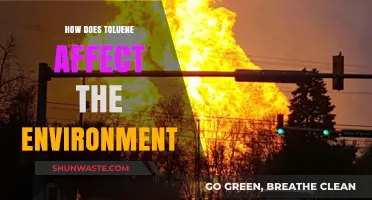 Toluene's Environmental Impact: Pollution, Wildlife, and Ecosystem Disruption Explained
