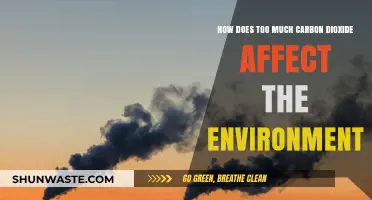 Excess Carbon Dioxide: Environmental Impacts and Urgent Solutions Needed