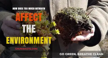 Excess Nitrogen's Environmental Impact: Pollution, Biodiversity Loss, and Ecosystem Disruption