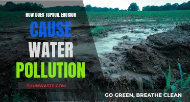 Topsoil Erosion's Impact: Water Pollution's Hidden Source