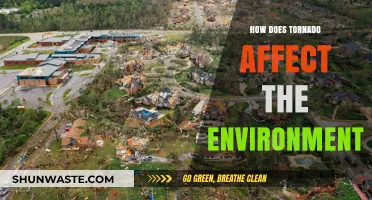 Tornadoes' Environmental Impact: Destruction, Ecosystem Changes, and Long-Term Effects