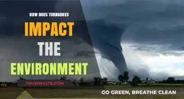Tornadoes' Environmental Impact: Destruction, Recovery, and Ecosystem Changes Explained