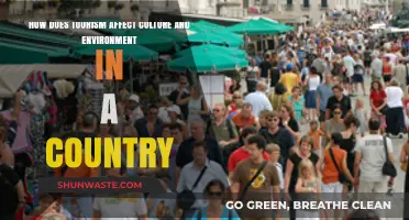 Tourism's Impact: Cultural Shifts and Environmental Challenges in Nations