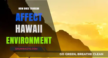 Tourism's Impact: Hawaii's Environment Faces Challenges and Opportunities