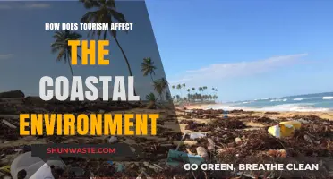 Tourism's Impact: Coastal Ecosystems, Challenges, and Sustainable Solutions
