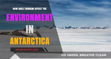 Antarctica's Fragile Ecosystem: Tourism's Environmental Impact and Sustainability Challenges