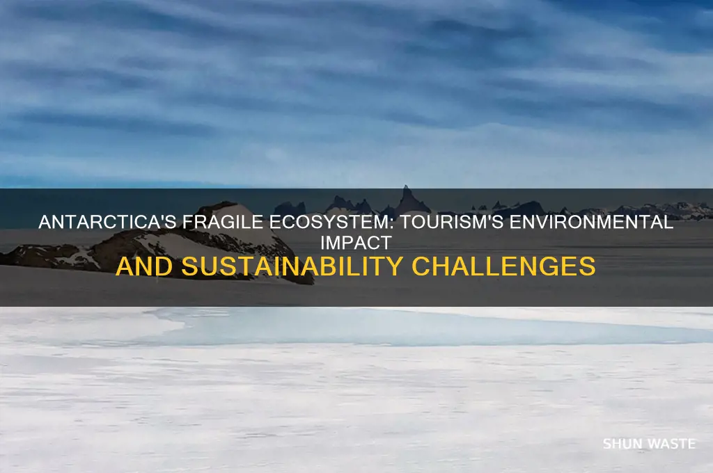 how does tourism affect the environment in antarctica