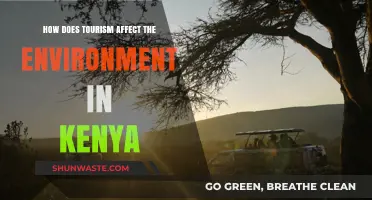 Exploring Kenya's Tourism: Environmental Impacts and Sustainable Solutions
