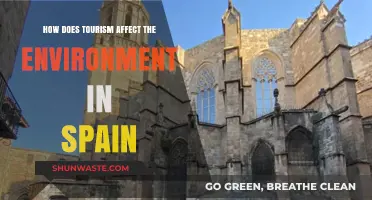 Tourism's Environmental Impact: Spain's Challenges and Sustainable Solutions