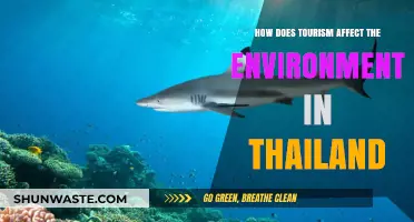 Exploring Thailand's Environmental Impact: Tourism's Role and Consequences