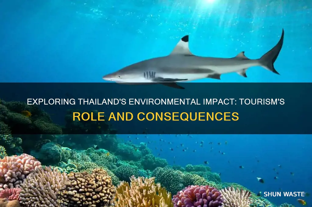 how does tourism affect the environment in thailand