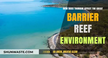 Tourism's Impact: Balancing Exploration and Conservation at the Great Barrier Reef