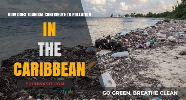 Caribbean Tourism's Dark Side: Pollution's Creeping Impact