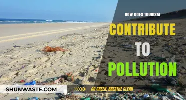 Tourism's Pollution Problem: Impact and Solutions
