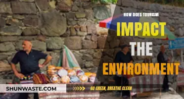 Exploring Tourism's Environmental Footprint: Impacts, Challenges, and Sustainable Solutions